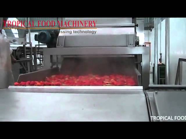 Macchina per salsa di pomodoro industriale