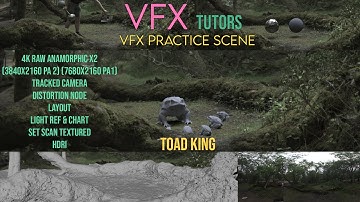 VFX Creature Practice Scene - Toad King