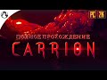 Я И ЕСТЬ МОНСТР ─ CARRION ➤ ПОЛНОЕ ПРОХОЖДЕНИЕ