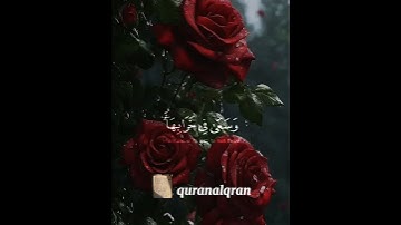 سورة البقرة #ياسر_الدوسري #فلسطين #السعودية #المغرب #الجزائر #مصر #تونس #ليبيا #موريتانيا
