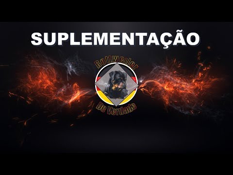 Vídeo: Em que idade devo começar a dar ao meu Rottweiler um Suplemento Conjunto?