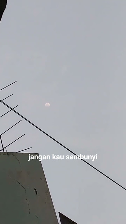 Bulan di manakah kini *shorts