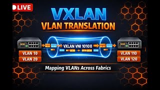 Overlapping VLANs with Arista EOS