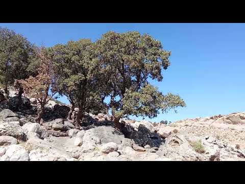 سلام دوستان چشمه آب معدنی امام زاده پیرمحمد علیشروان شهرستان بدره استان ایلام لایک و ساب یادتون نره