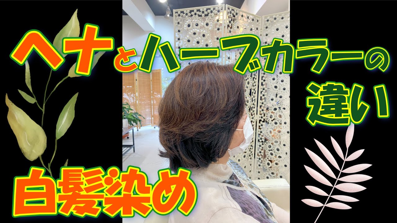 白髪にヘナ染めとハーブカラーの違い】 - YouTube