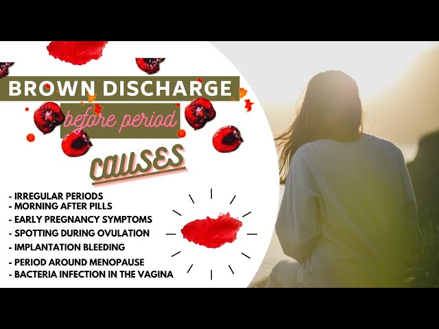 Brown discharge before period, Black, Dark brown, Meaning