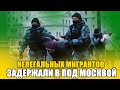 Всех ДЕПОРТИРОВАТЬ!! МИГРАНТОВ поймали в  под Москвой. Опять без документов и разрешений.