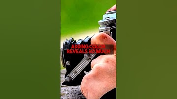 Colorizing Black and White Photos A Comprehensive Guide