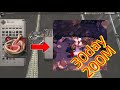 애니쓰 채널소개 / 장사하는 법을 알아야 하는 이유 / 알비온 실버버는법/ 알비온 돈버는법/albion online make money / albion make silver