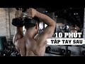 10 Phút Tập Tay Sau Cục Súc | Triceps Blasting Workout | SHINPHAMM