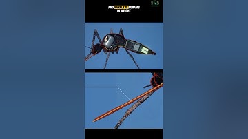 Insect or Drone? China’s Creepy New Surveillance Tech.                  #documentary#usashorts#fyp