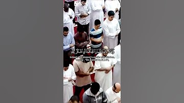 "ولقد آتينا لقمان الحكمة أن اشكر لله" سورة لقمان SURAH LUQMAN #عبدالولي_الاركاني #abdulwali_alarkani