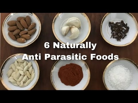 Video: Jak parazité získávají potravu?