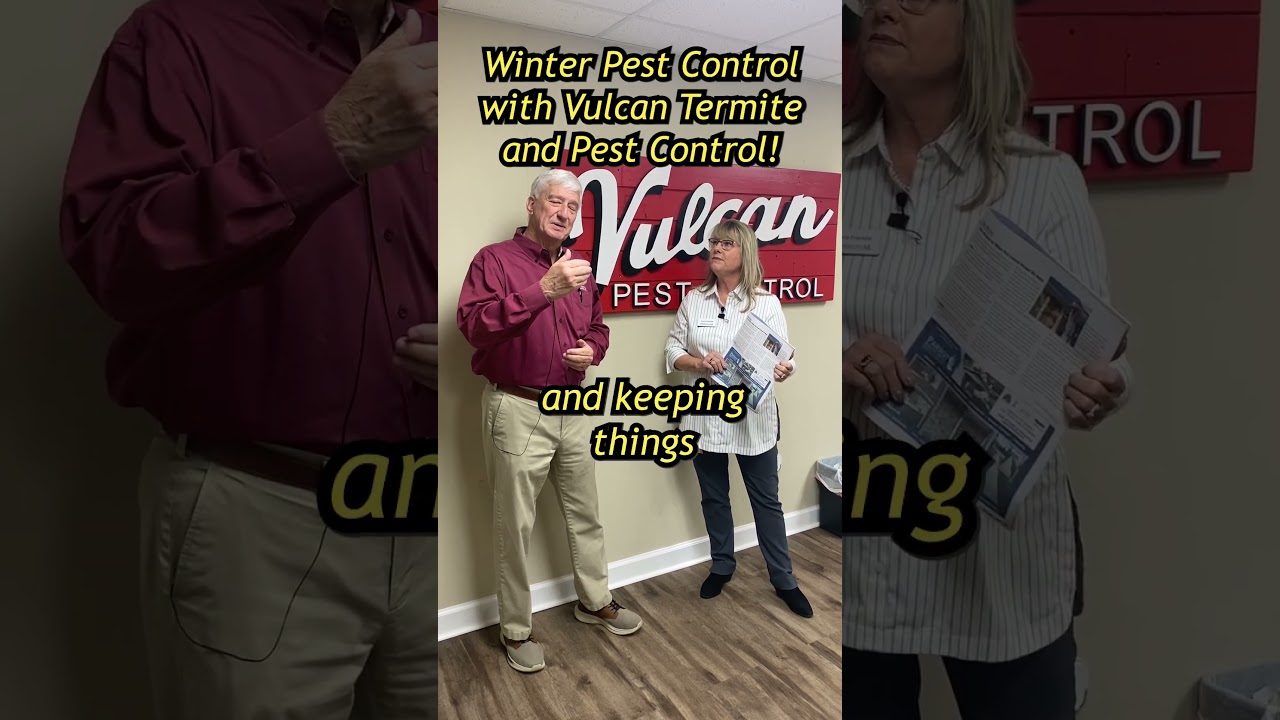 Winter Pest Control with Vulcan Termite and Pest Control! 🐜