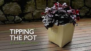 3 Ways To Know When To Water   Monrovia Garden
