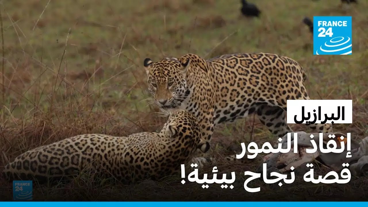 ��������.. ���� ��� ������! � ����� 24 / FRANCE 24
 - نشر قبل 9 دقيقة