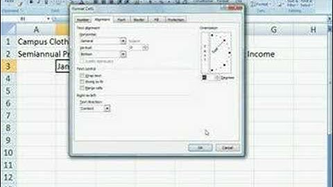 Excel 2007 - Orientation & Fill Handle