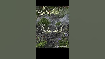 c4d + octane 비현실적인 아름다운 작품 만들기