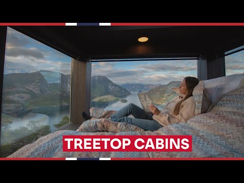 Video: Otvorite Jedinstveni Pogled Na Norveške Divlje životinje U Kabini PAN Treetop