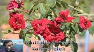 Muttalip Şimşek - Kahpe felek Resimi