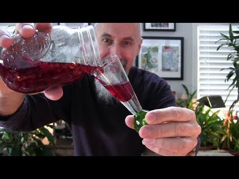 let's-make-some-pomegranate-liqueur:-tasting-homemade-liqueurs---asmr,-how-to-make,-recipe