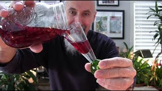 Let's Make Some Pomegranate Liqueur: Tasting Homemade Liqueurs - ASMR, How to Make, Recipe