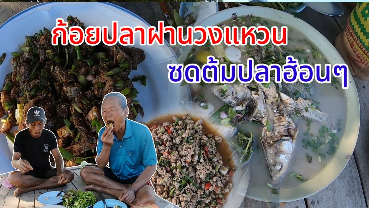 ก้อยปลาฝานวงแหวนสูตรเด็ด อู๋ขี่ปลาขมอ่ำหล่ำ ซดน้ำต้มปลา ปลาหามาใหม่ๆแซบคัก