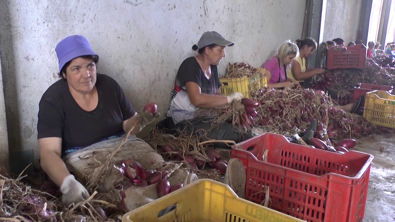 Warum der 25. April Feiertag in