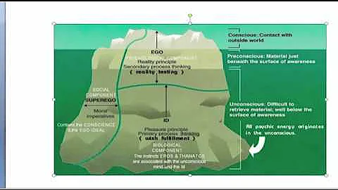 Ch 10 Personality Review Psychoanalytic