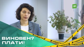 Жертвы ДТП с самокатчиками все чаще взыскивают компенсацию за травмы