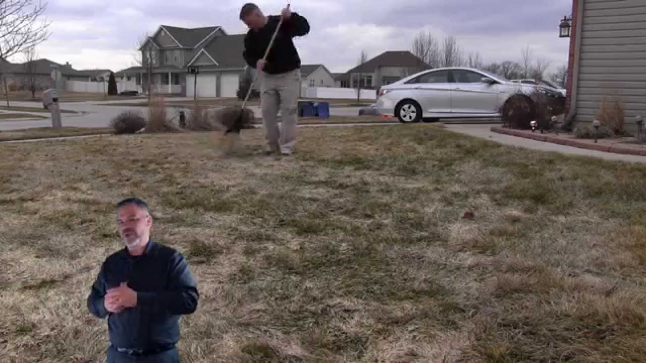 lawn tips youtube Spring Lawn Care : Recovery Program Step #1