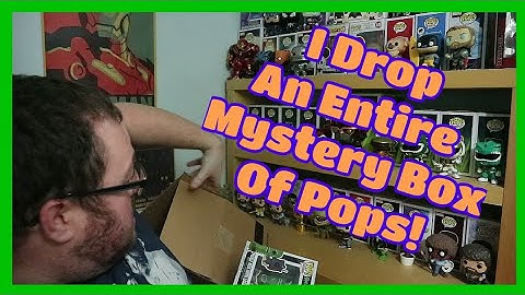 Damaged Funko Pop Mystery Box From Pop in a Box