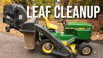I Tried Every Leaf Cleanup Method (This is What Works)