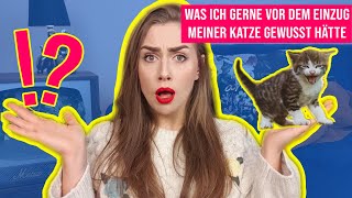 10 Dinge die ich gerne vor dem Einzug meiner Babykatze gewusst hätte // Katzen Tipps // Amely Rose