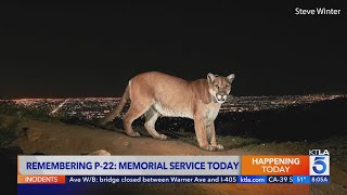 P-22 to be honored at Greek Theatre