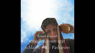 [slowed &amp; reverb] draußen essen spät schlafen 💤 - Pashanim