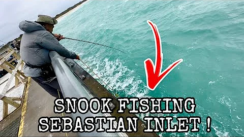 This Is Why People Love Snook Fishing at Sebastian Inlet ! 