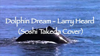 Dolphin Dream - Larry Heard(Soshi Takeda Cover)