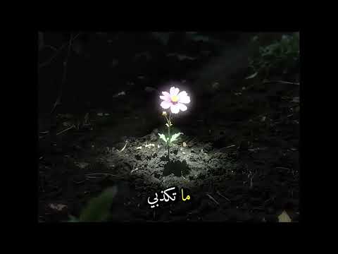 ‏شكرا لالك إنك كسرت لي قلبي