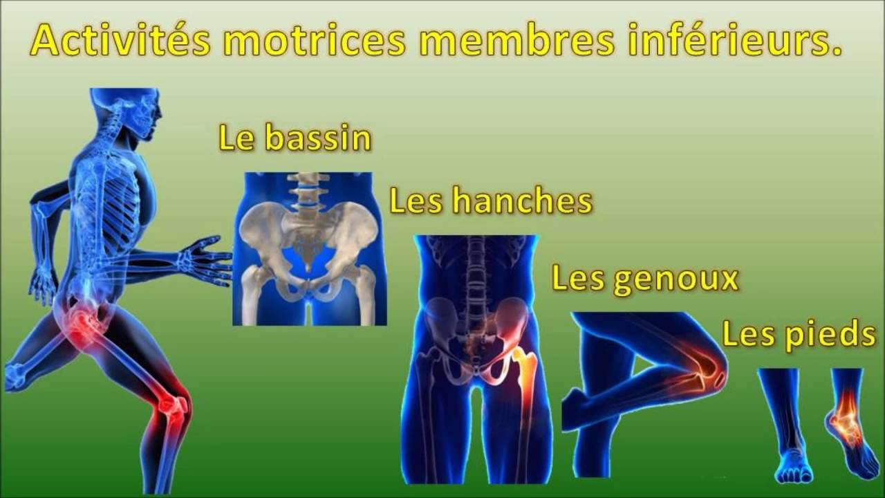 Activités Physiques Adaptées et Psychomotricité  en EHPAD