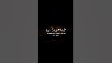 تلاوة تريح القلب❤🎧 لاتنسى الصلاة على النبي ﷺ