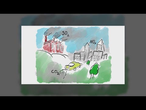 Video: Vai gaisa piesārņojums ietekmē ekosistēmu?