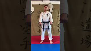 #3 Upper block/Jodan Uke Renbukai Karate Canada