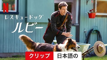 レスキュードッグ・ルビー (クリップ) | 日本語の予告編 | Netflix
