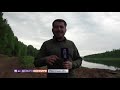 "Хозяева Тайги": как в Иркутской области уничтожают лес, провоцируя наводнения