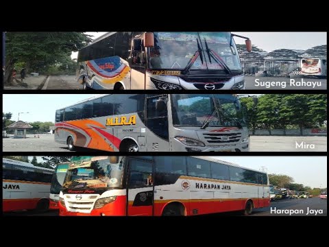 Kumpulan Suara Klakson Bus Jawa Timuran Terbaru 2020