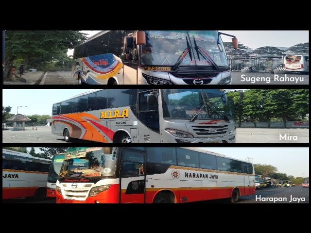 Kumpulan Suara Klakson Bus Jawa Timuran Terbaru 2020 class=