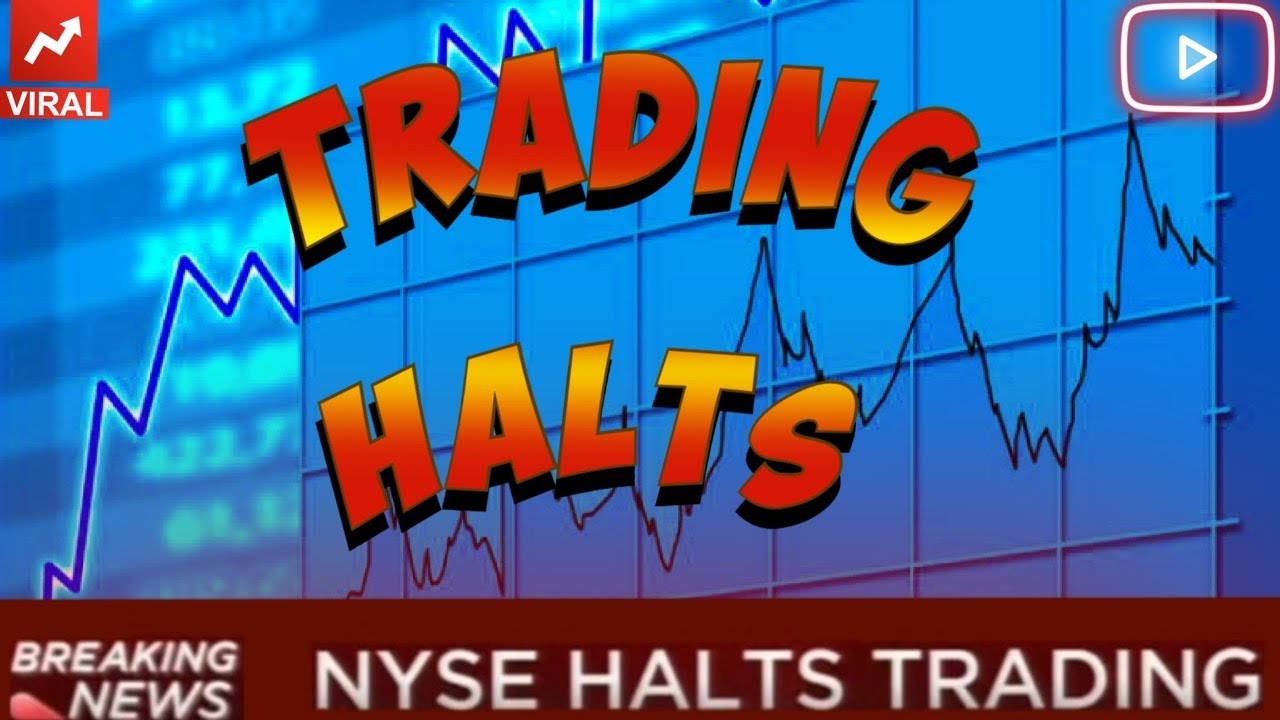 Stock Trading Halts YouTube
