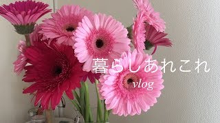 『暮らしvlog』主婦の日常/家庭料理/手作りドレッシング/丁寧な暮らし