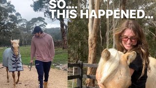 My boyfriend bought a horse!! (Actually… he bought TWO horses)